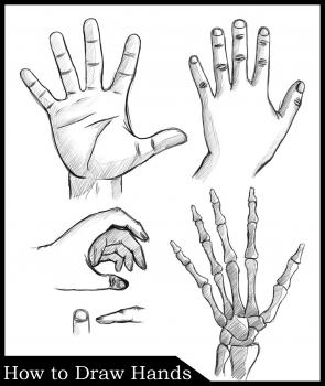 how-to-draw-hands