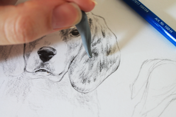 drawing a dog tutorial